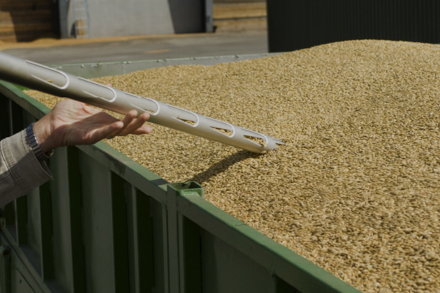 The Importance of Food Grain Quality Checks in Agriculture