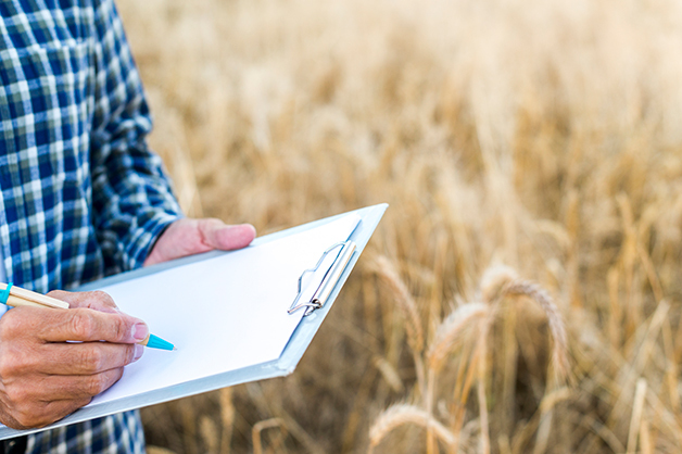 agricultural finance in India