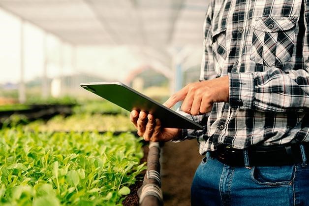 Agricultural Supply Chain Management in India